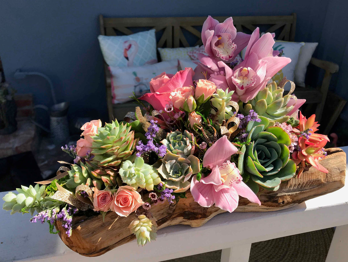 Succulent Arrangement Collection | Unique & Stylish Greenery by Lia's  Flowers  Lia's Floral Designs