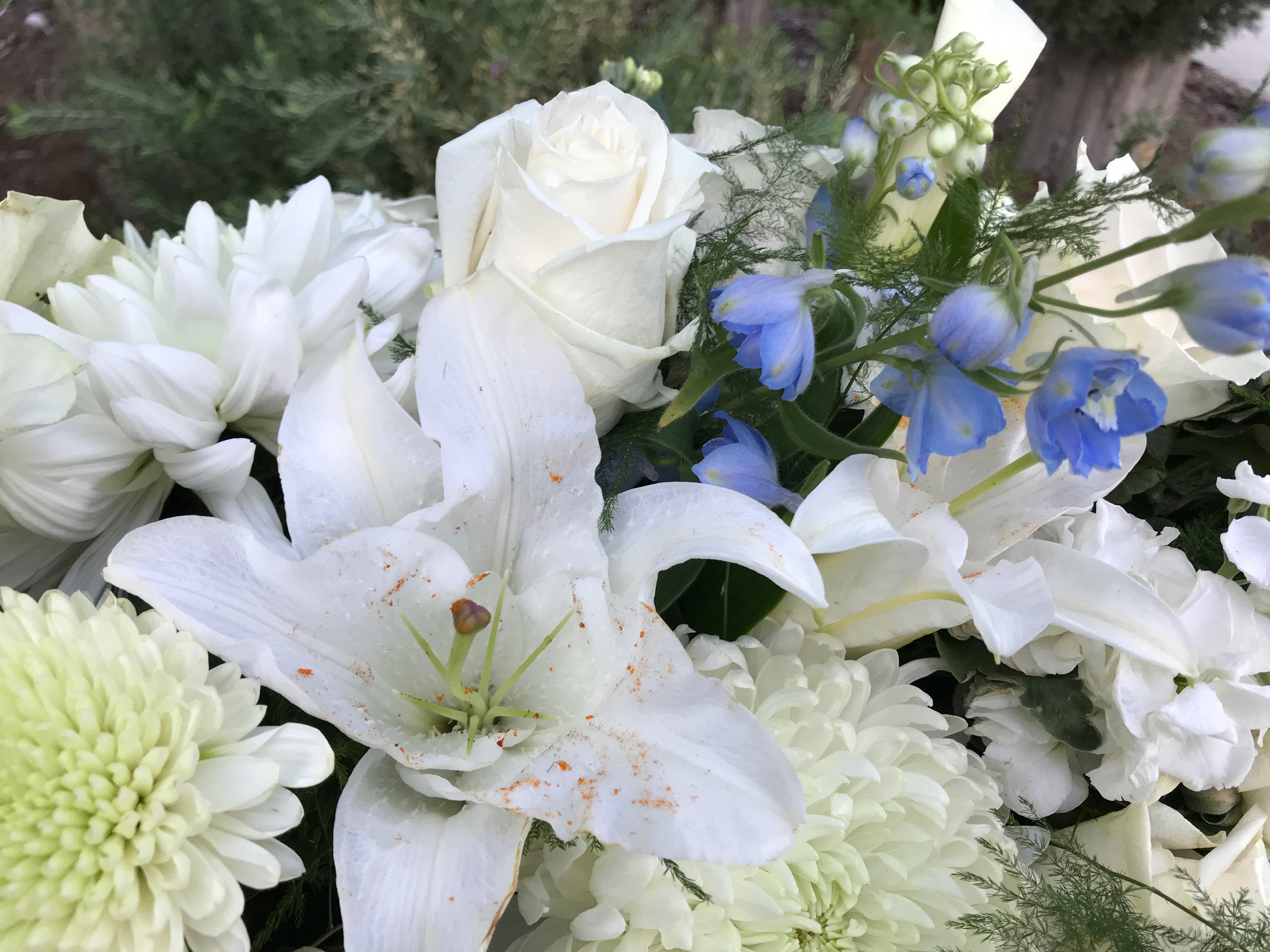 peace lilies for funerals Heavenly Peace White & Blue Casket Spray for Funerals