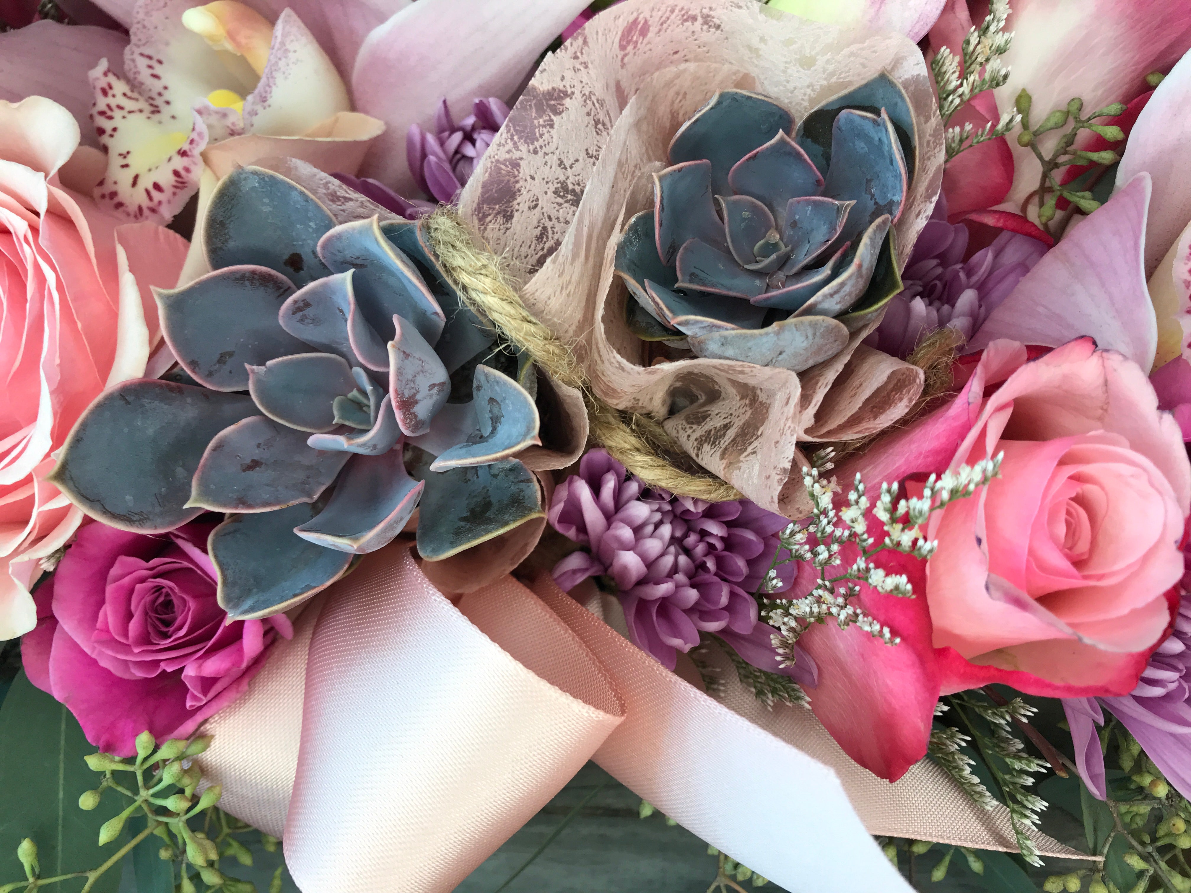 plantable succulents Succulent Arrangement