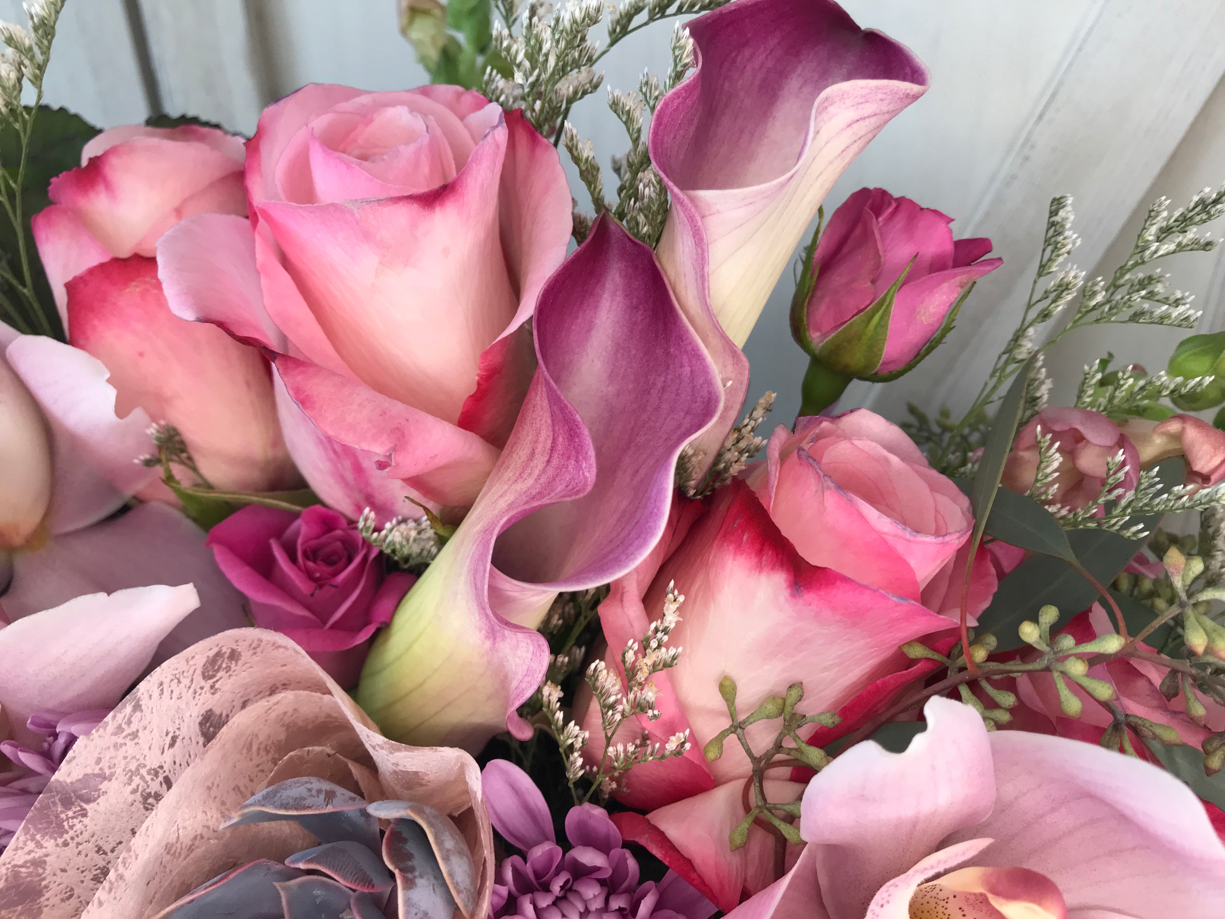pink rose succulent garden Succulent Arrangement