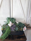 Jeri Succulent Garden Photo 1 - West Hills Flower Shop