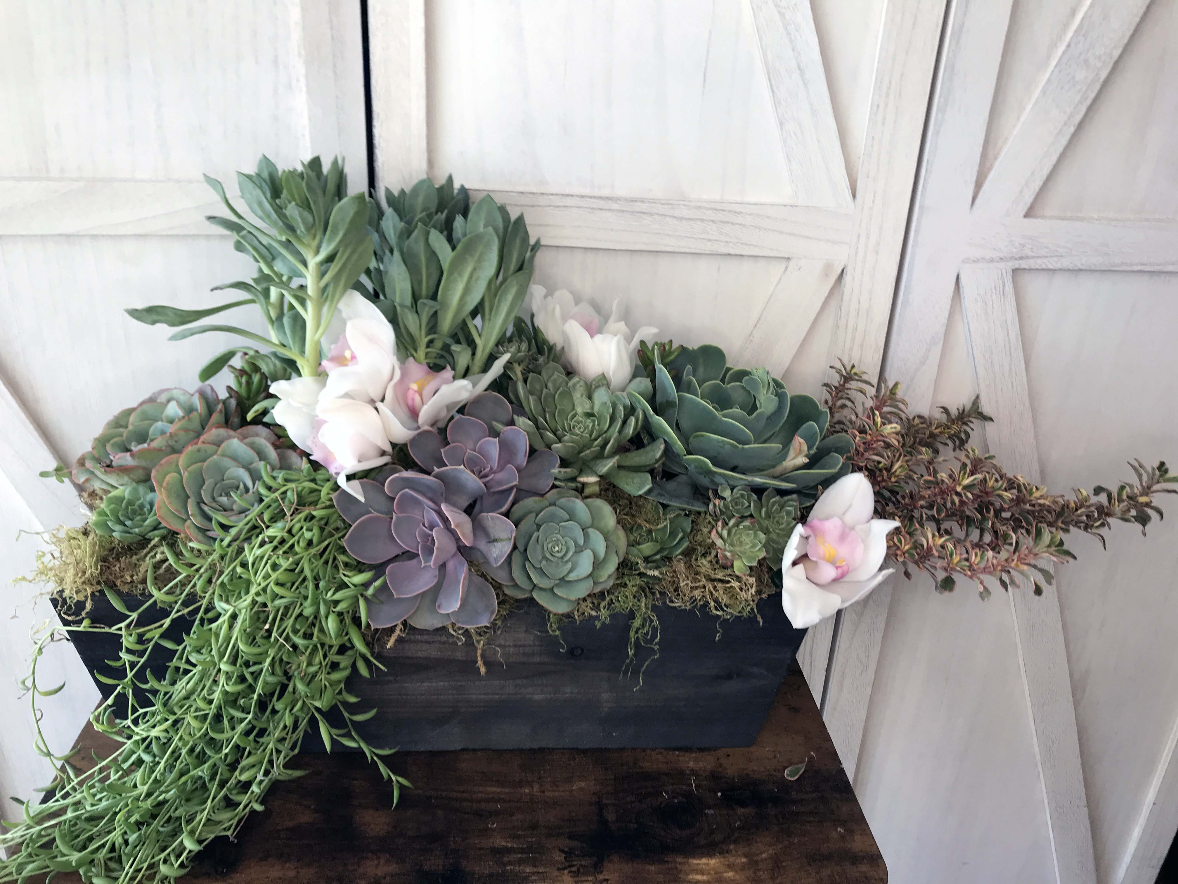 Succulent shop garden table