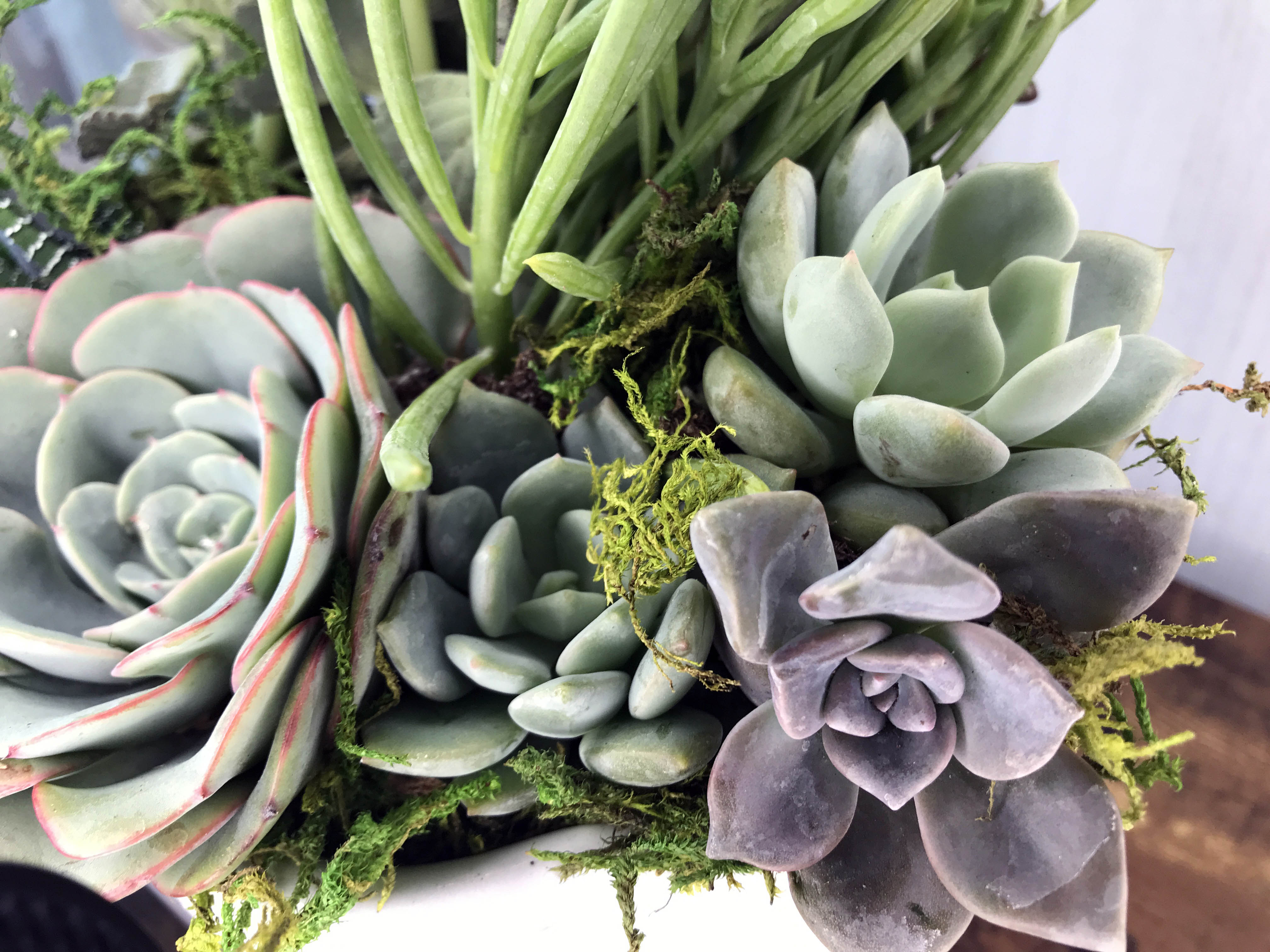 loving memory succulent garden Loving Remembrance Flower Arrangement