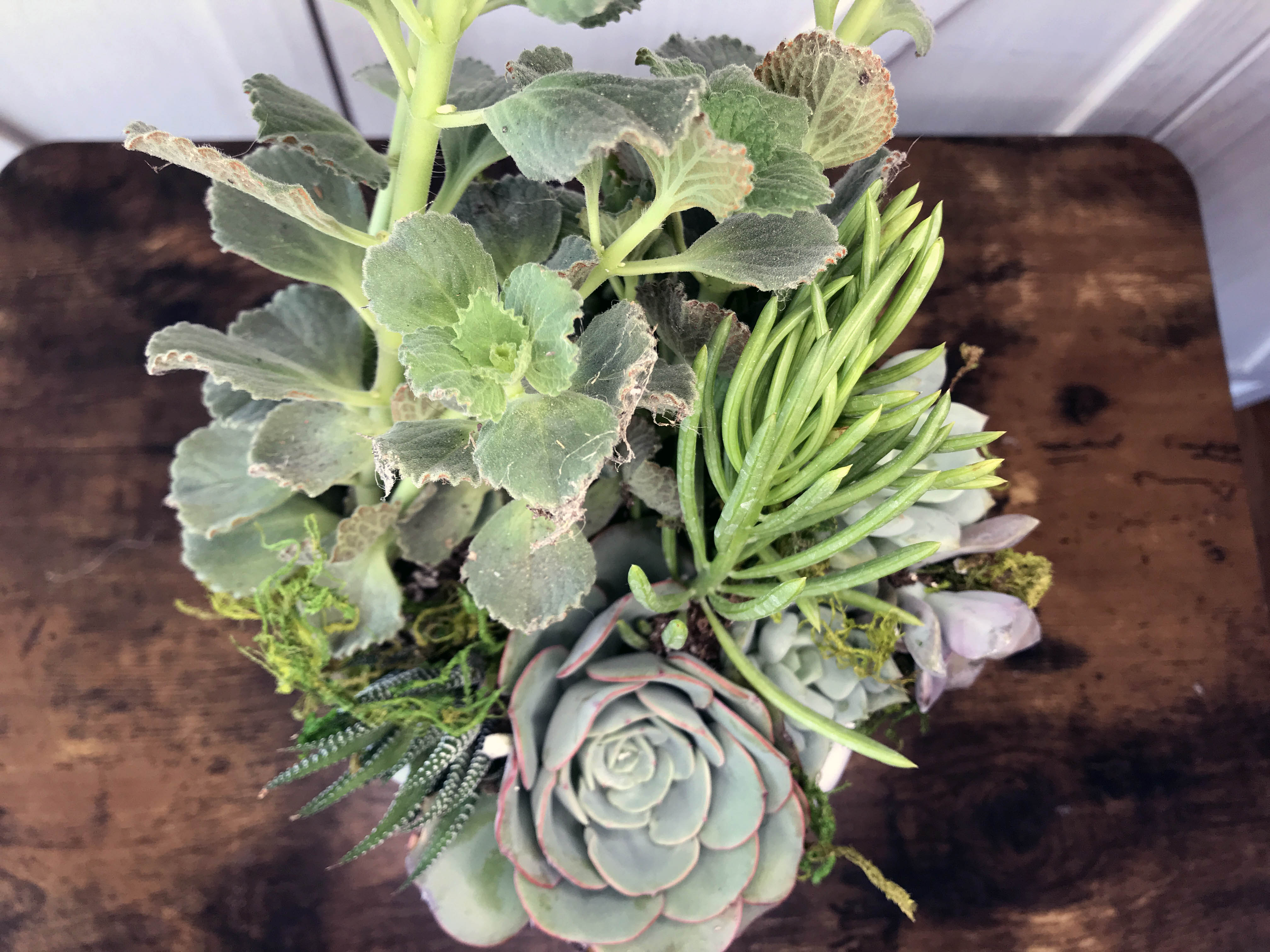 in loving memory succulents Loving Remembrance Flower Arrangement