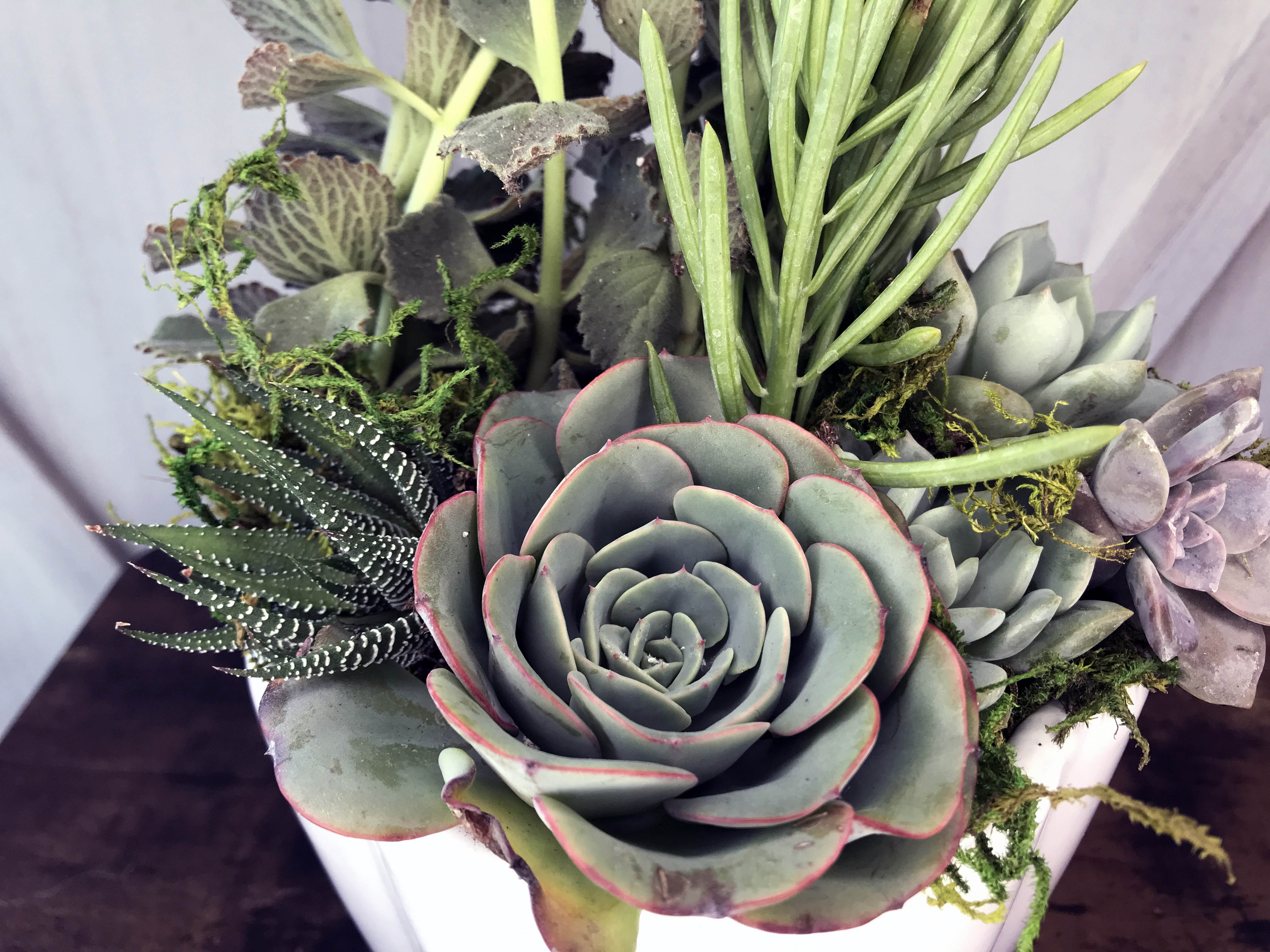 in loving memory succulents Loving Remembrance Flower Arrangement