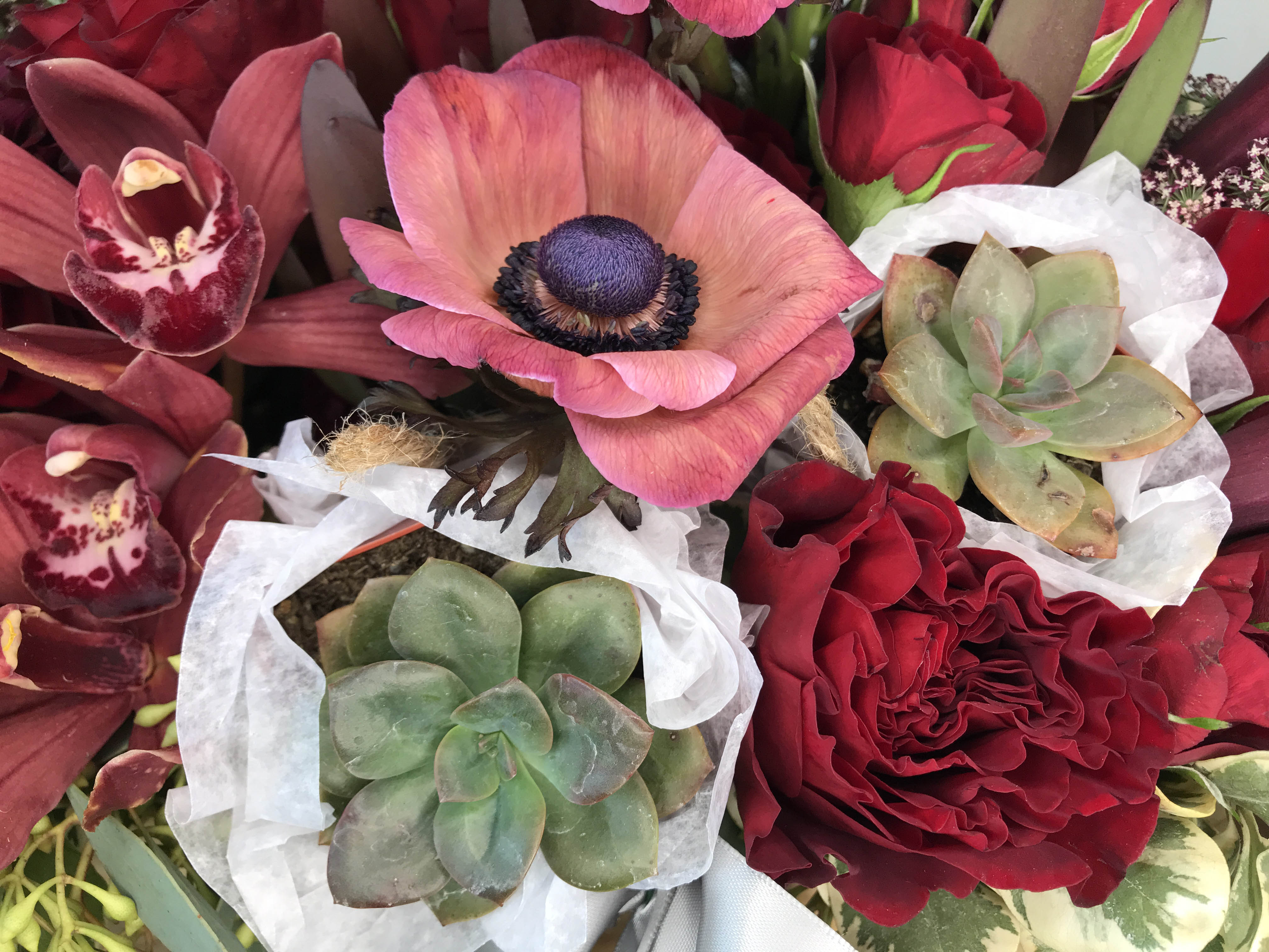 succulent flower arrangements delivery Succulent Arrangement